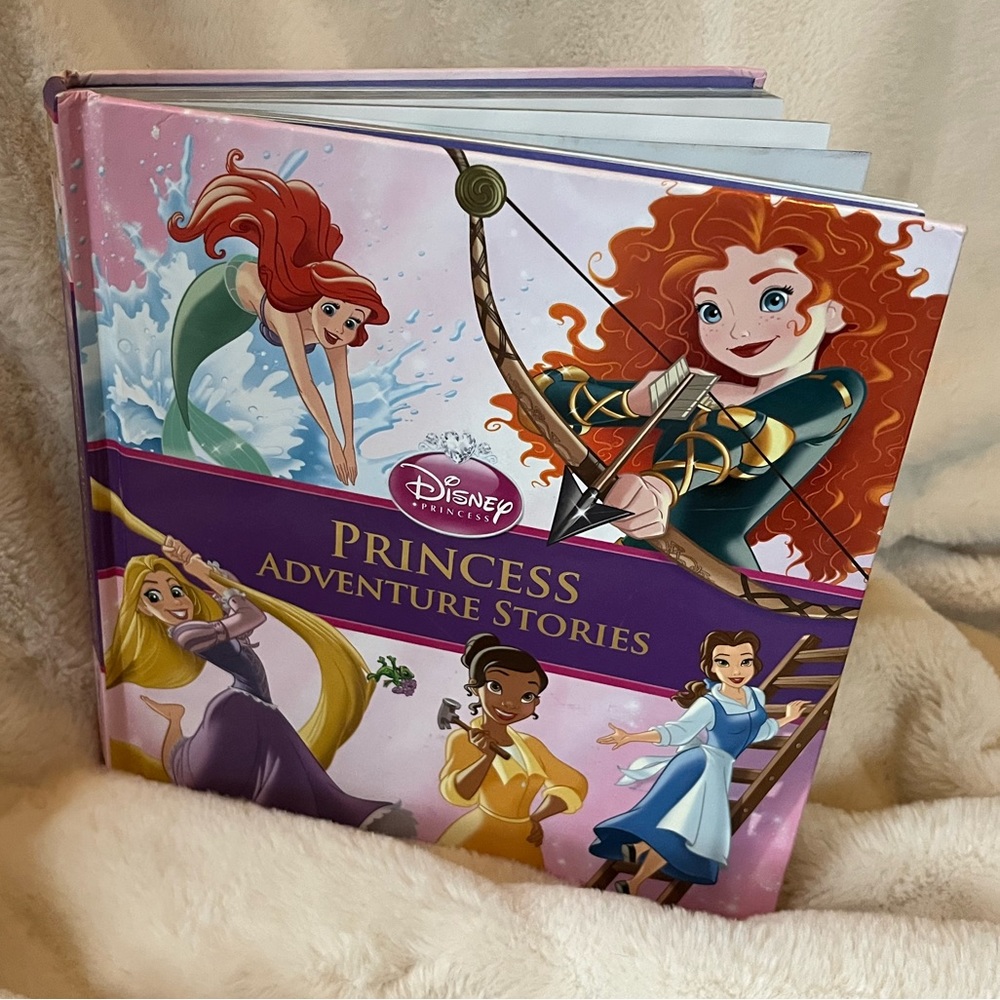 Disney Princess Adventures Book!